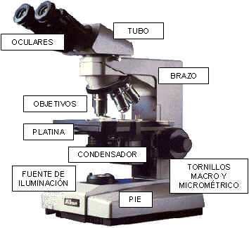 Partes de un microscopio