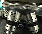 Objetivo microscopio